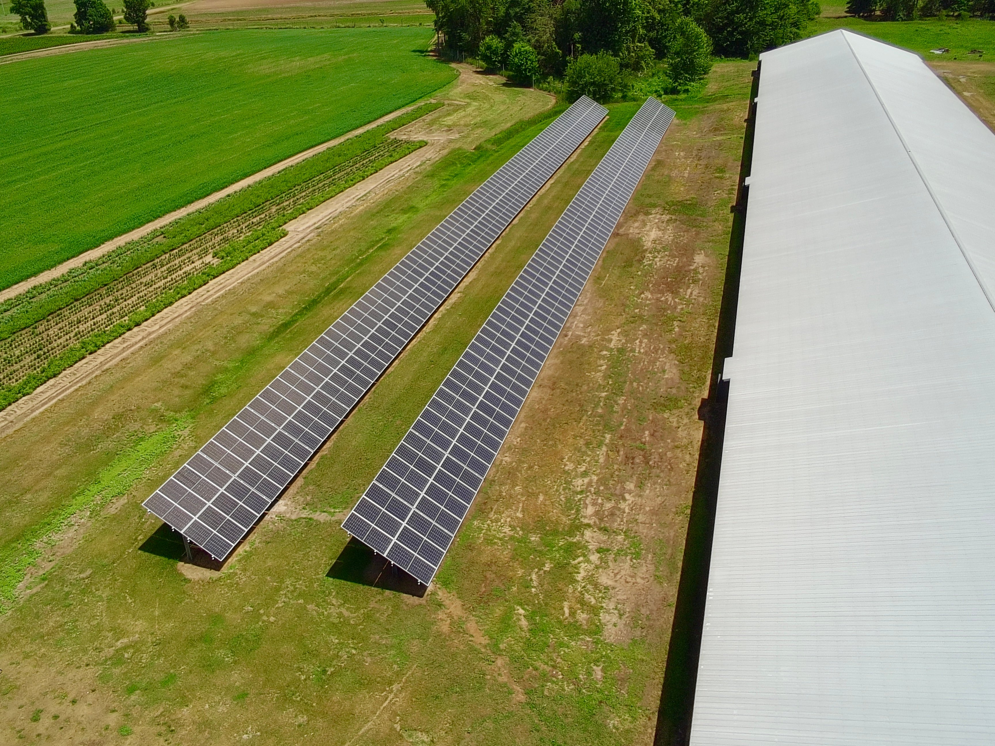 Agricultural Solar in Allendale, MI 