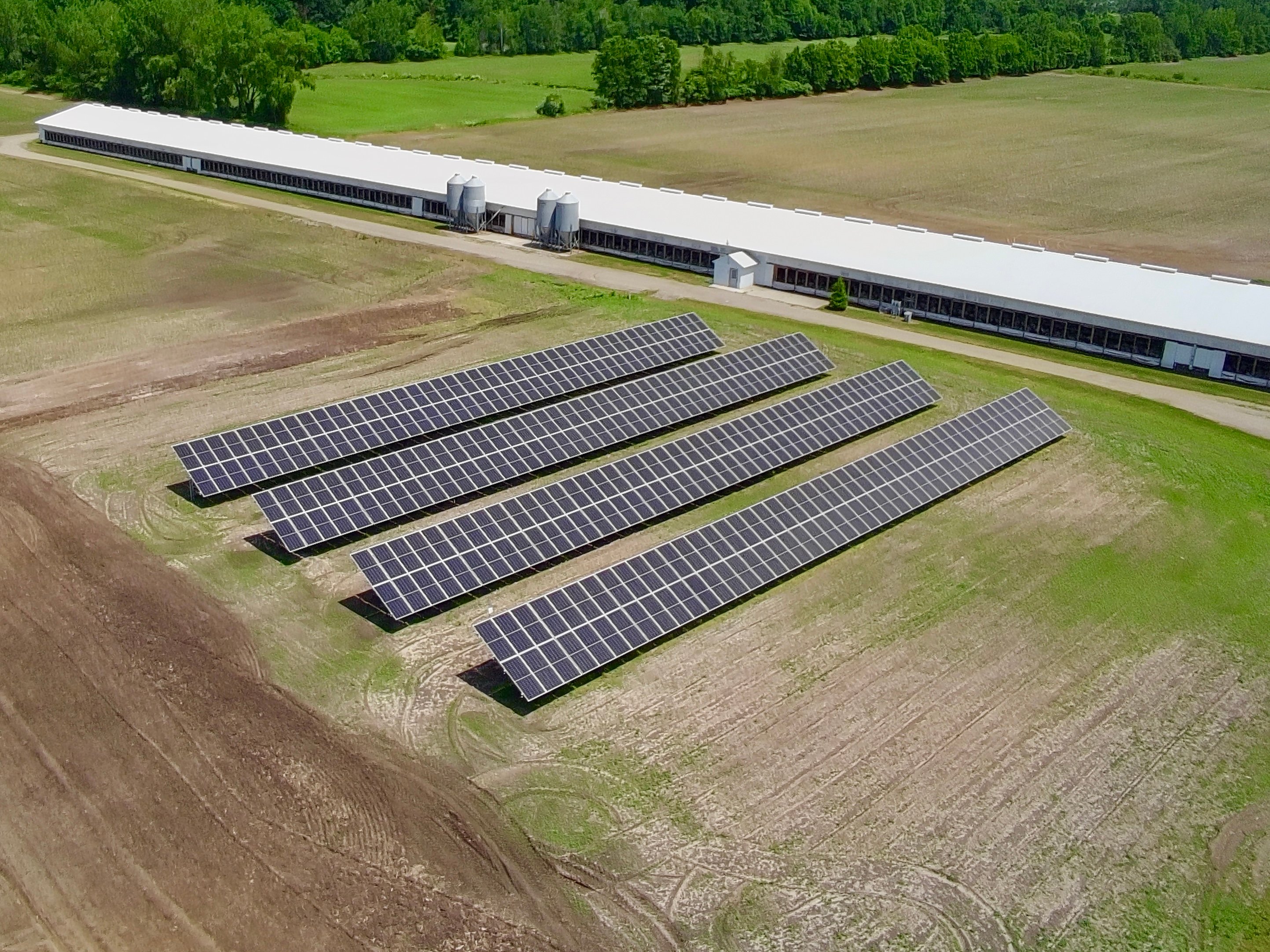 Agricultural Solar in West Olive, MI 
