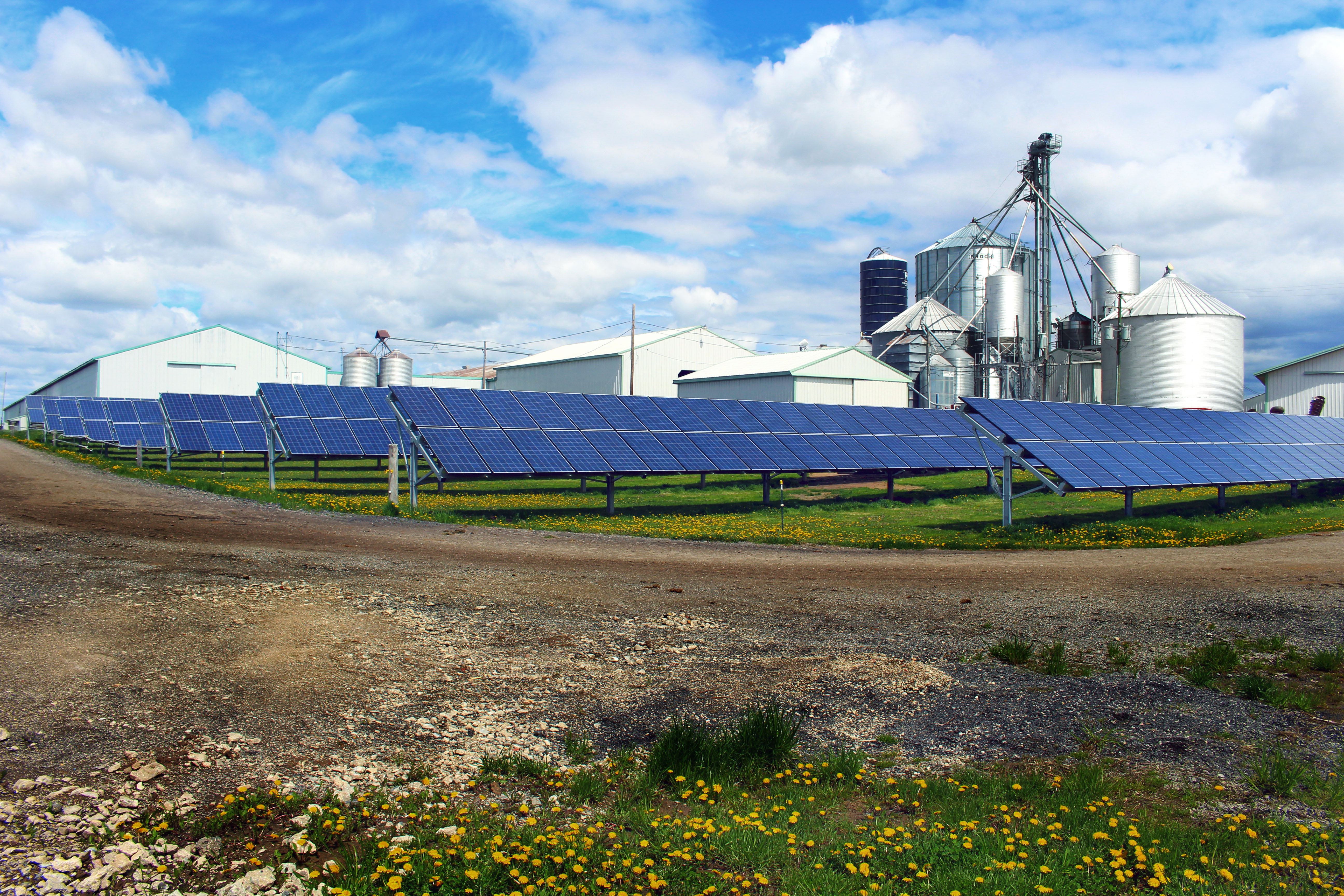 Langeland Dairy 123