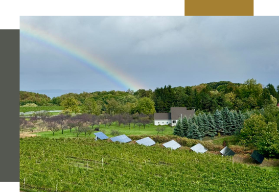 An agricultural farm with solar panels, a house, and a rainbow.